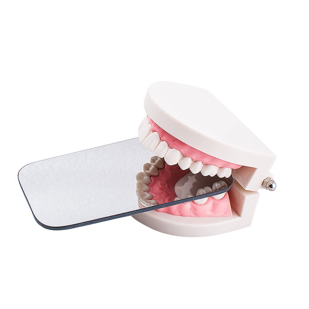 Amazon.com : FveBzem Double-Sided Photographic Mirrors Intraoral